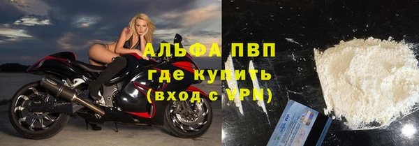 стаф Алзамай