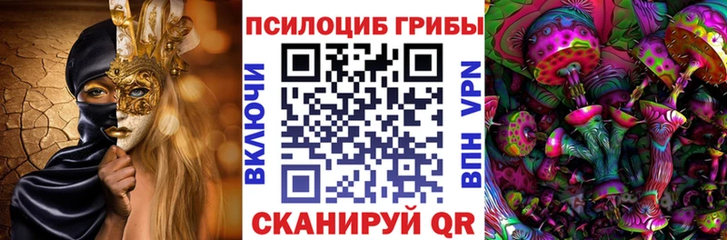 наркотики  Кирсанов  Псилоцибиновые грибы Psilocybe 