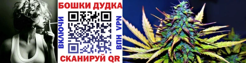 Шишки марихуана сатива  Кирсанов 